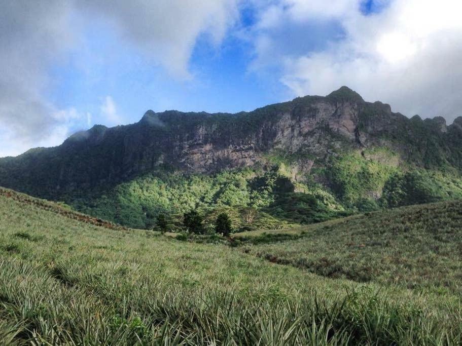 Fare Haurevaiti Moorea Paopao エクステリア 写真