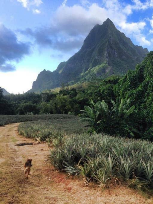 Fare Haurevaiti Moorea Paopao エクステリア 写真