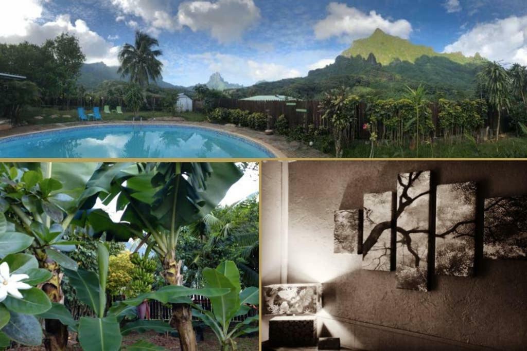 Fare Haurevaiti Moorea Paopao エクステリア 写真