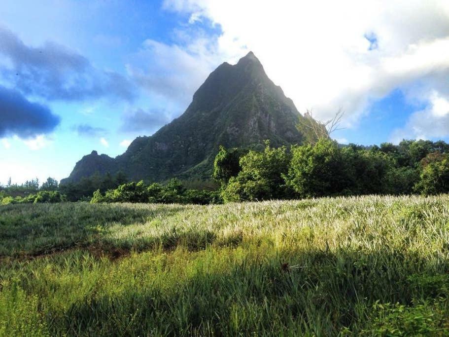 Fare Haurevaiti Moorea Paopao エクステリア 写真