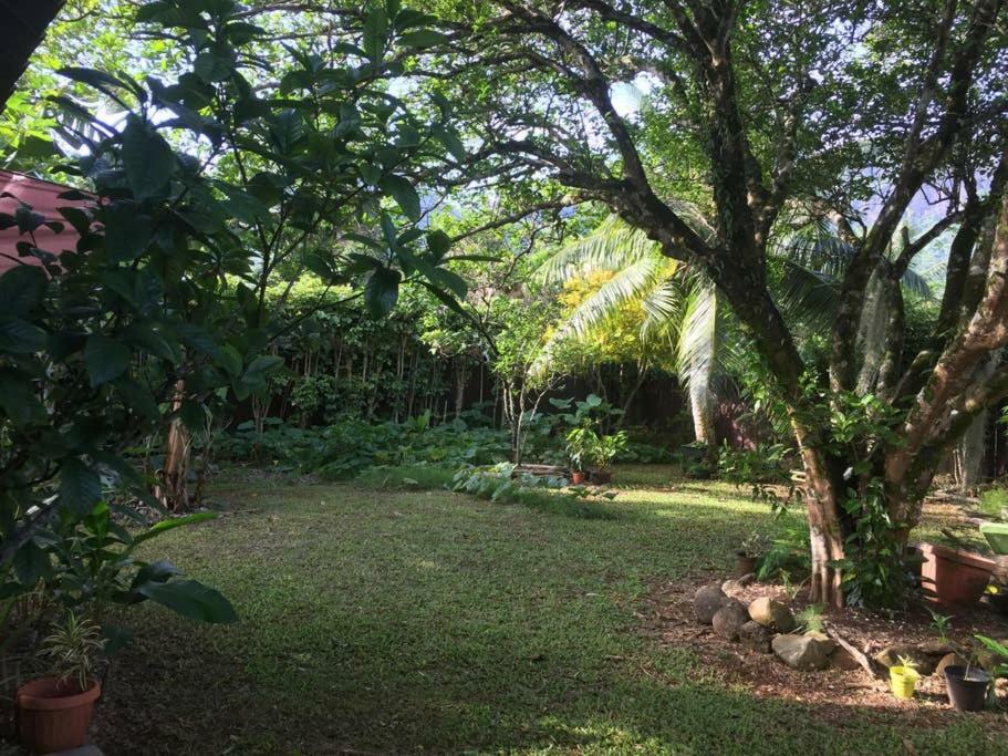 Fare Haurevaiti Moorea Paopao エクステリア 写真