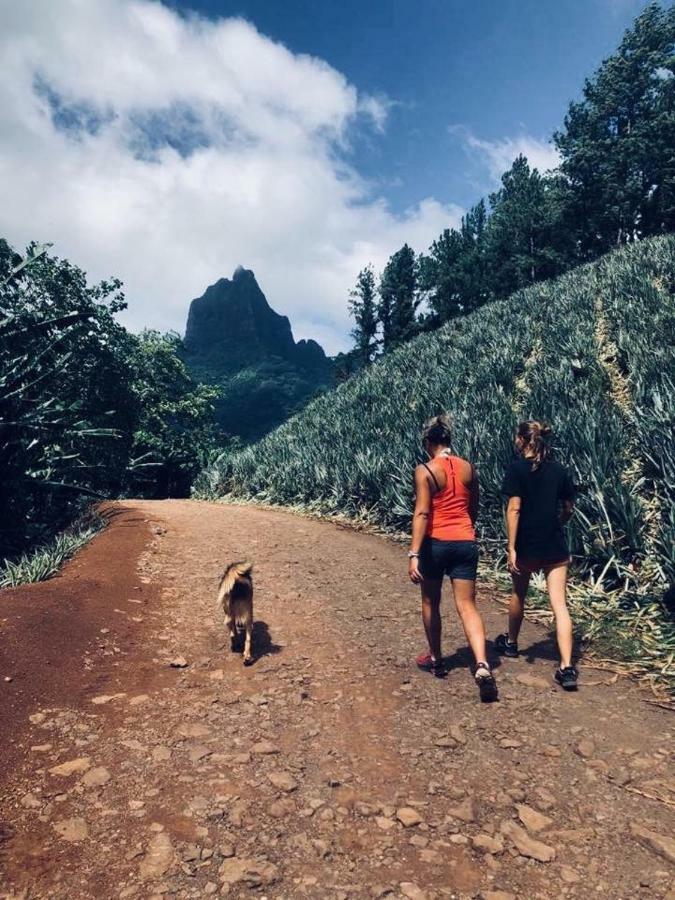 Fare Haurevaiti Moorea Paopao エクステリア 写真